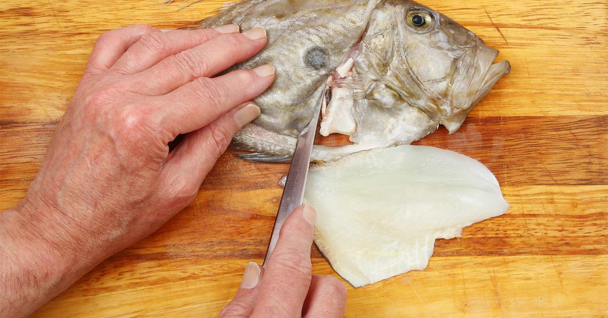 Pictures of John Dory