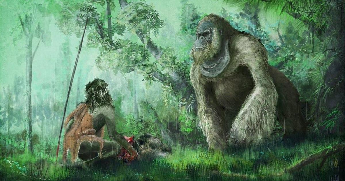 Pictures of Gigantopithecus