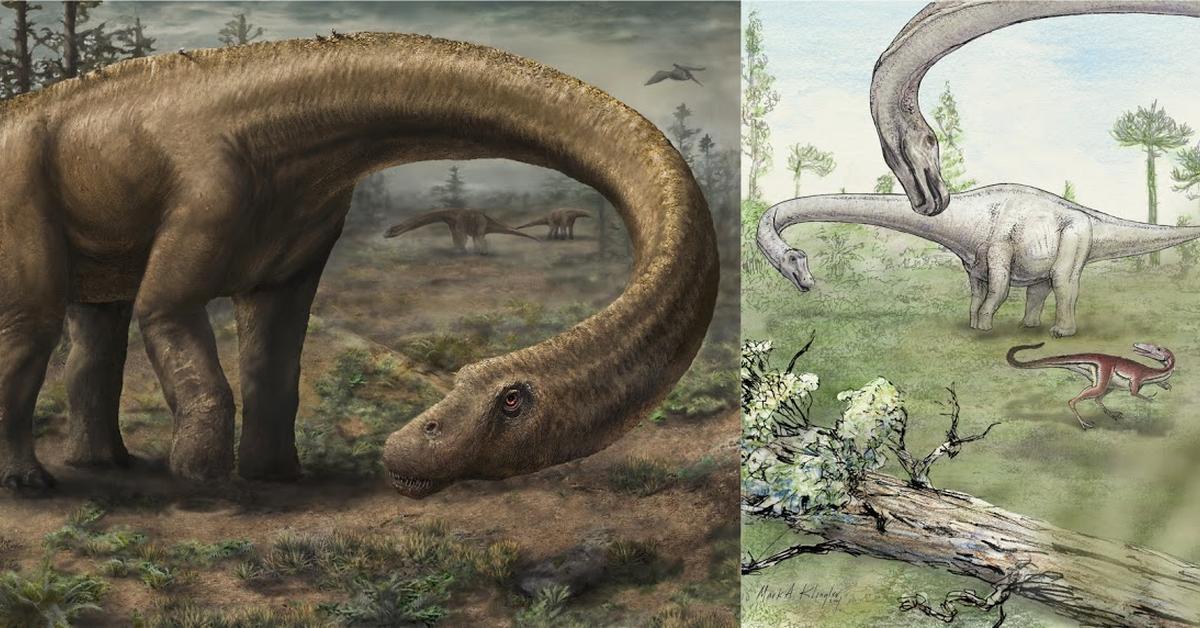 Pictures of Dreadnoughtus