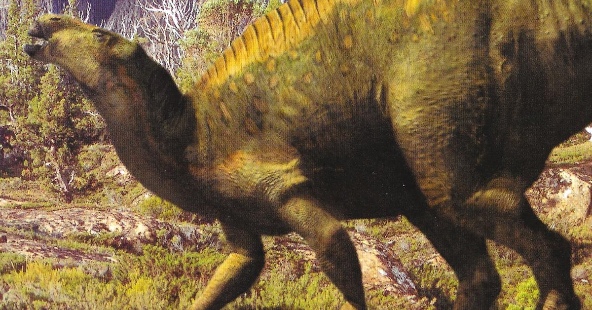 Pictures of Iguanodon