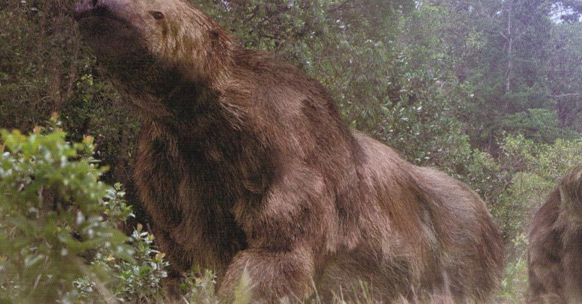 Pictures of Megatherium