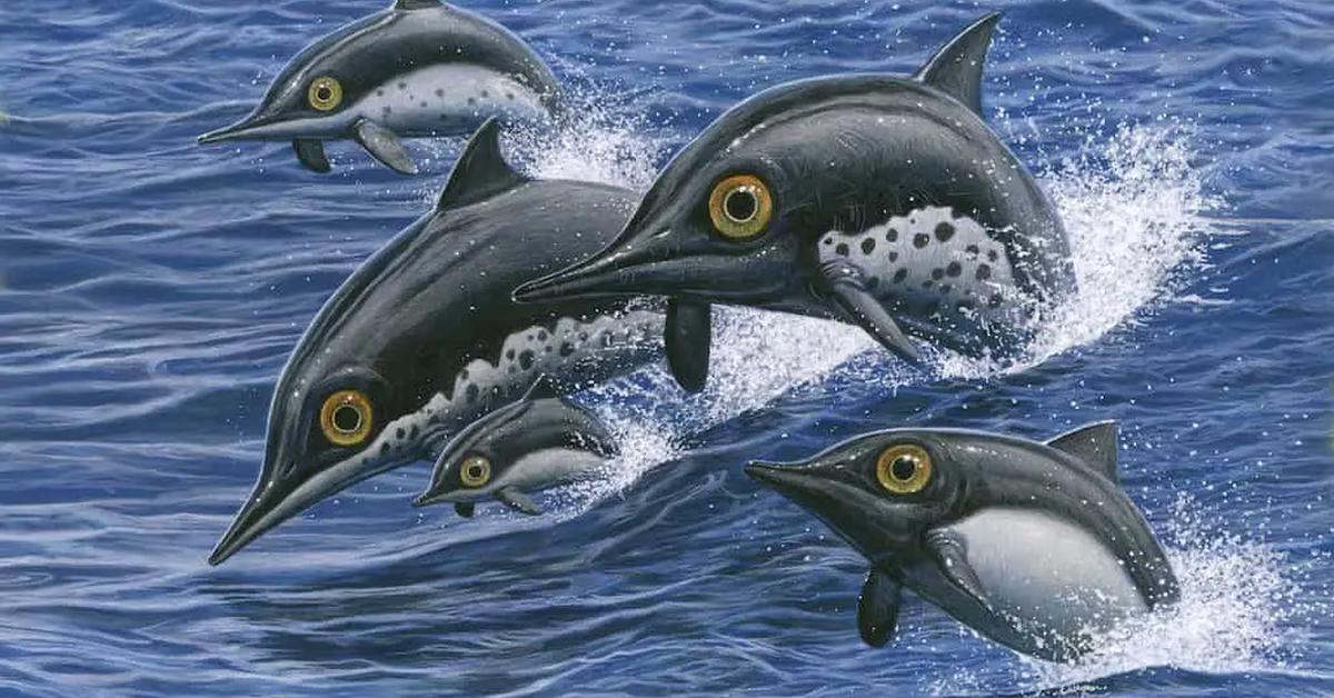 Pictures of Ichthyosaurus