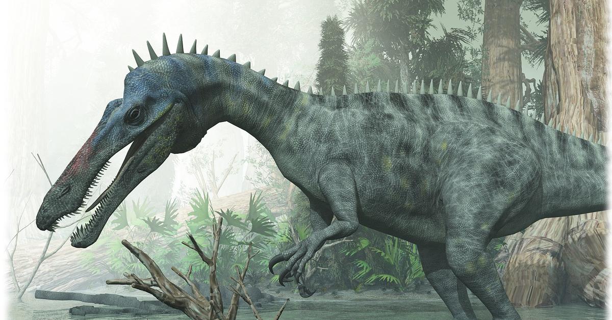 Pictures of Suchomimus