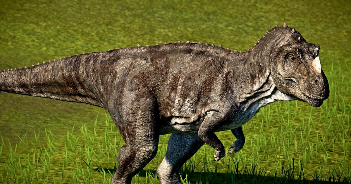 Pictures of Ceratosaurus