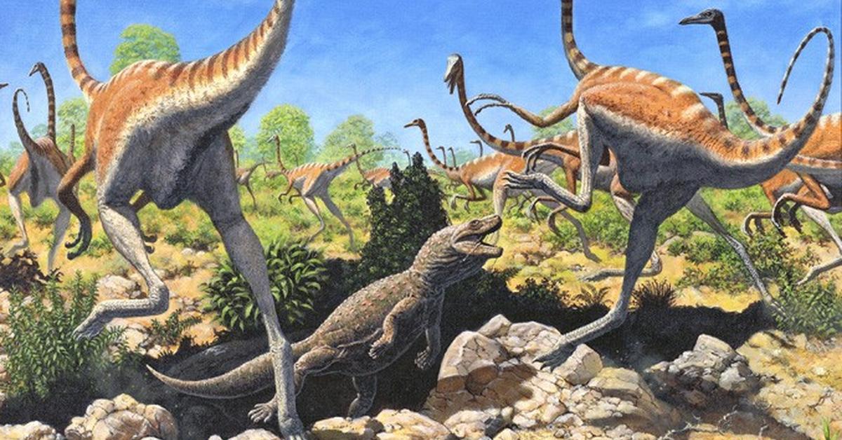 Pictures of Ornithomimus