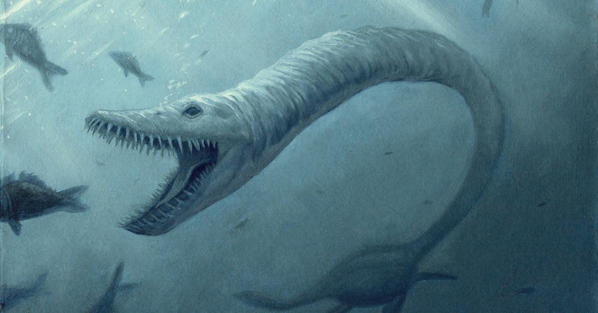 Pictures of Elasmosaurus