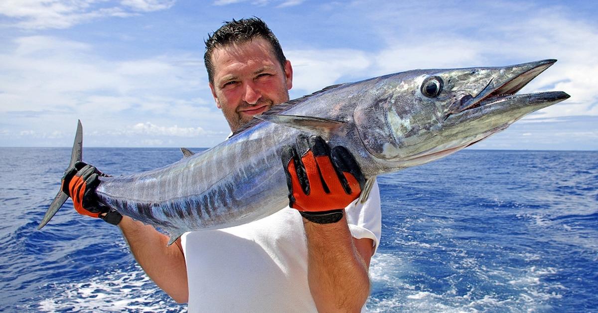 Pictures of Wahoo Fish