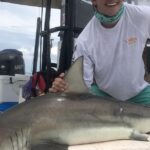 Pictures of Spinner Shark