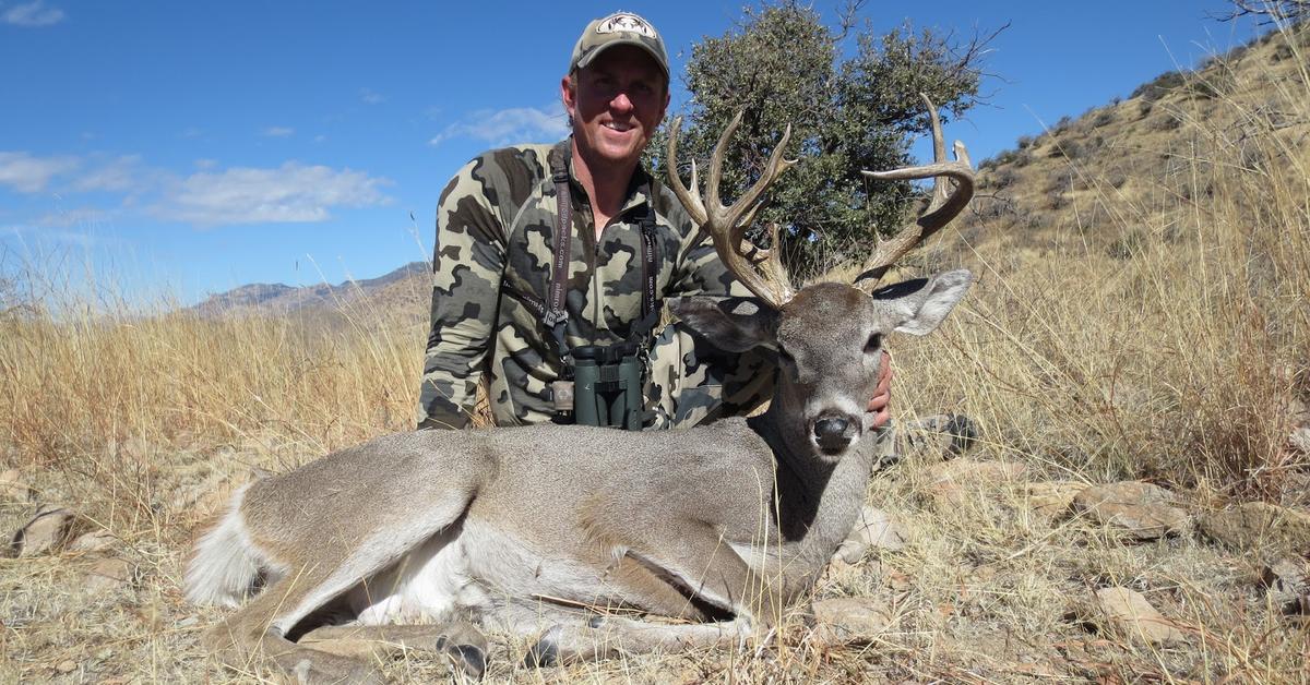 Pictures of Coues Deer