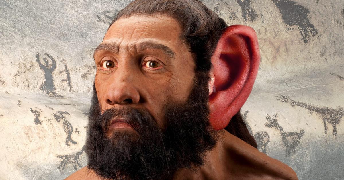 Pictures of Neanderthal