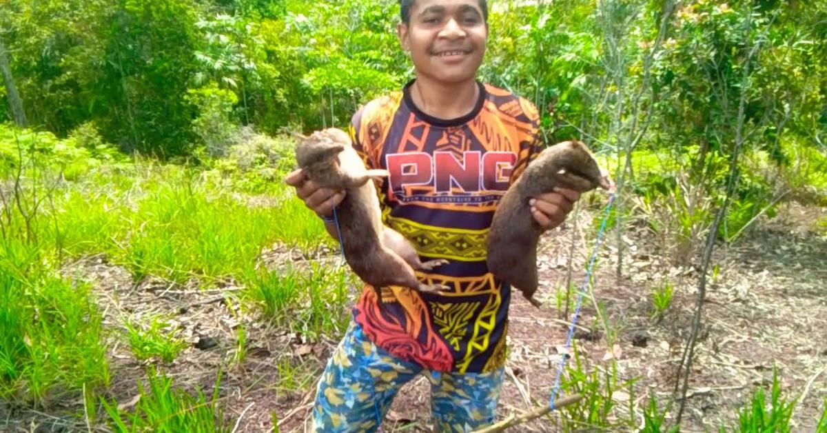 Pictures of Giant Golden Mole