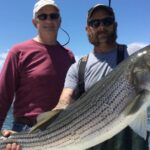 Pictures of Striped Bass