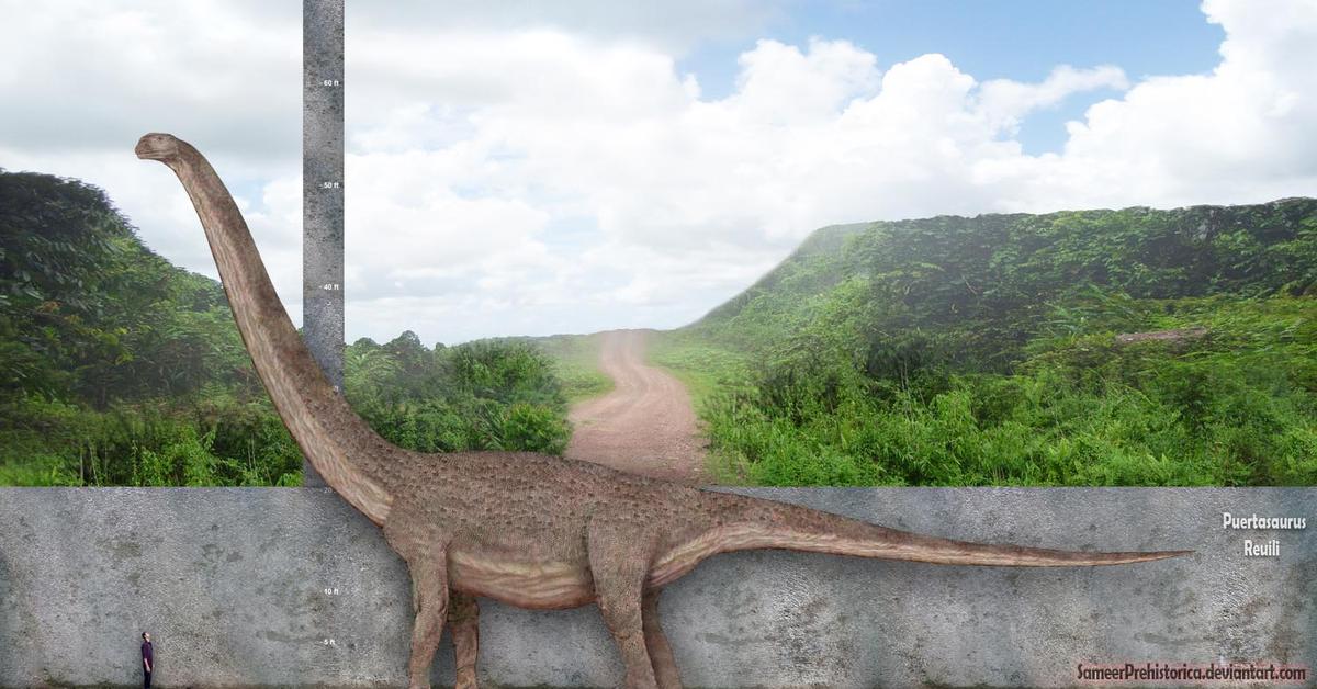 Pictures of Puertasaurus