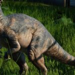 Pictures of Pachycephalosaurus