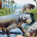 Pictures of Lystrosaurus