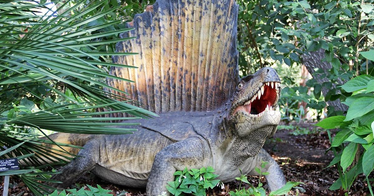 Pictures of Dimetrodon