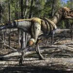 Pictures of Gorgosaurus