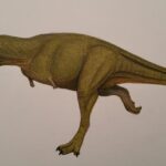 Pictures of Xenotarsosaurus