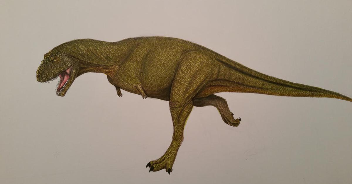 Pictures of Xenotarsosaurus