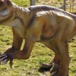 Pictures of Psittacosaurus