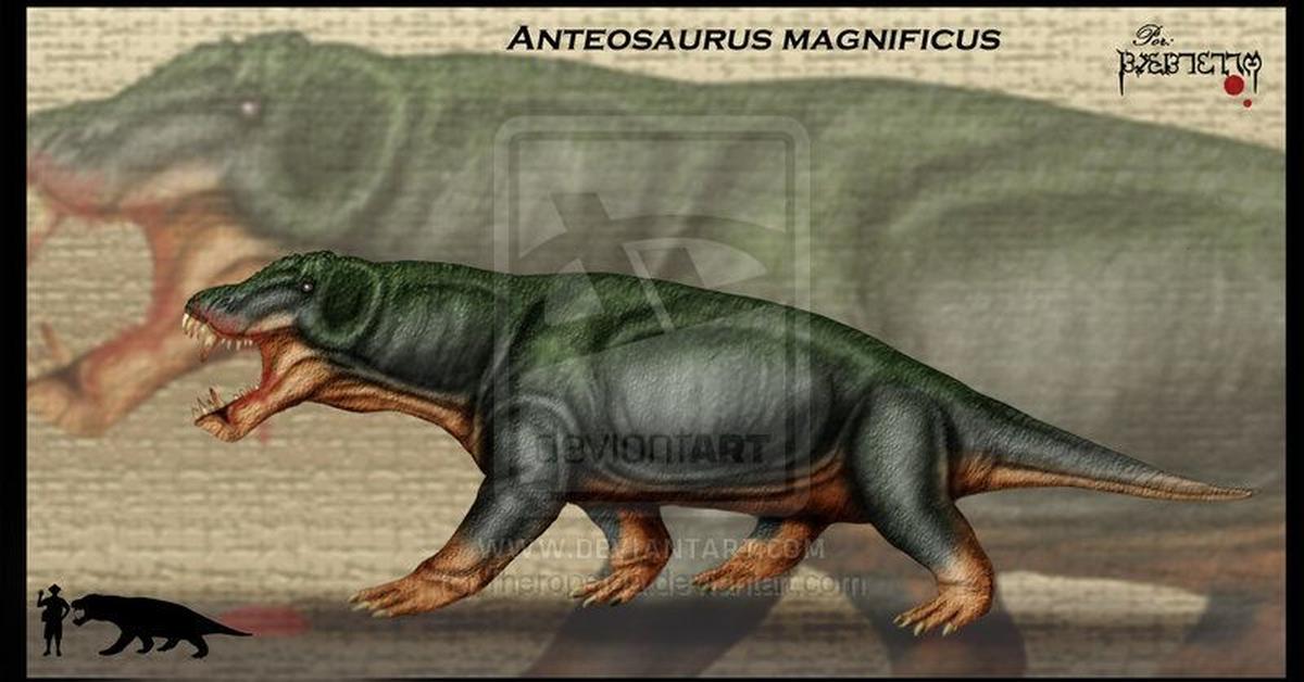 Captivating presence of the Anteosaurus, a species called Anteosaurus magnificus.