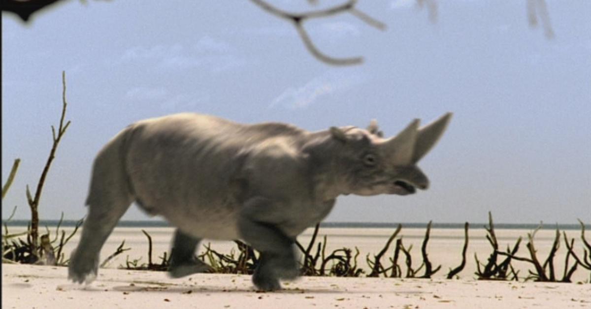 Snapshot of the intriguing Arsinoitherium, scientifically named Arsinoitherium.