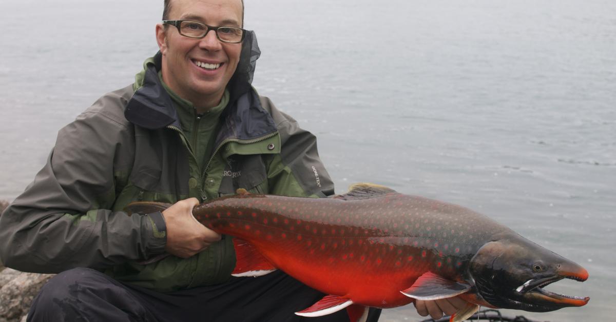 Stunning depiction of Arctic Char, also referred to as Salvelinus alpinus.