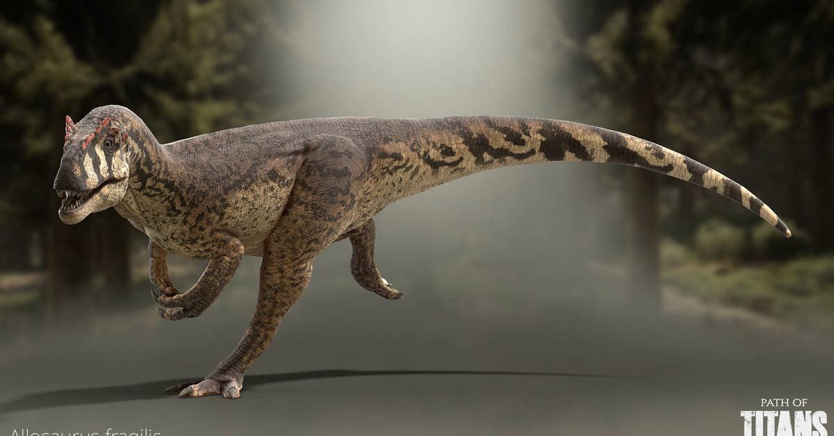 Exquisite image of Allosaurus, in Indonesia known as Allosaurus.