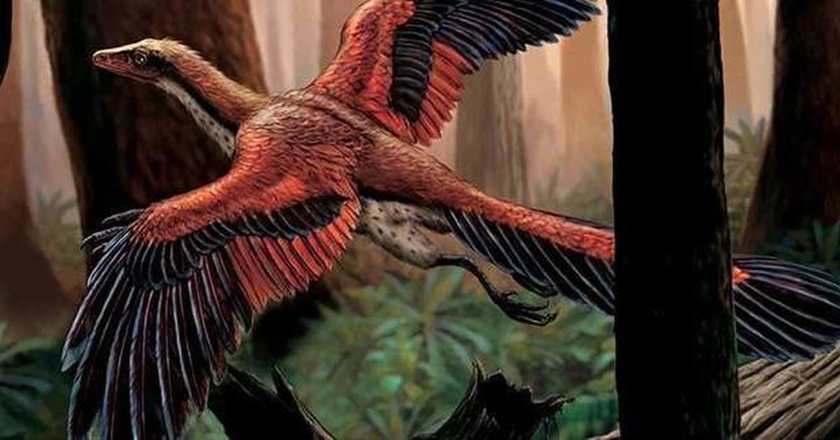 The Archaeopteryx, a beautiful species also known as Arkeopteriks in Bahasa Indonesia.