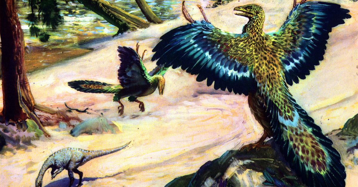 Iconic view of the Archaeopteryx, or Archaeopteryx lithographica, in its habitat.