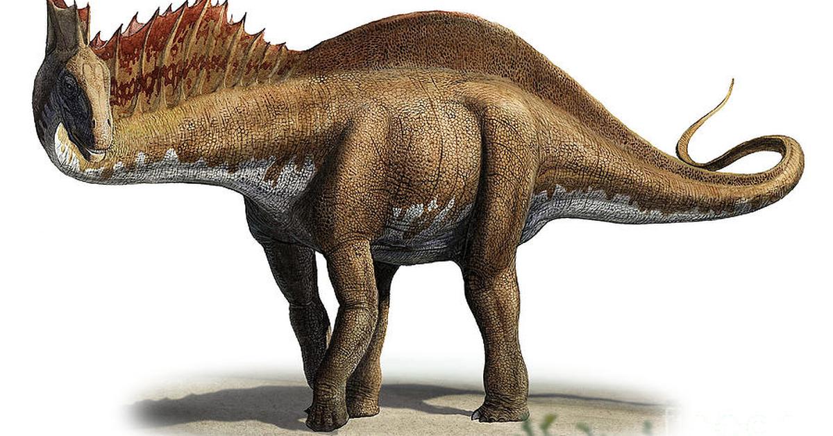 The Amargasaurus, an example of Amargasaurus cazaui, in its natural environment.