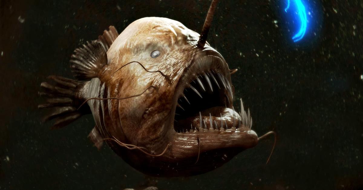 Insightful look at the Anglerfish, known to Indonesians as Ikan Angler.