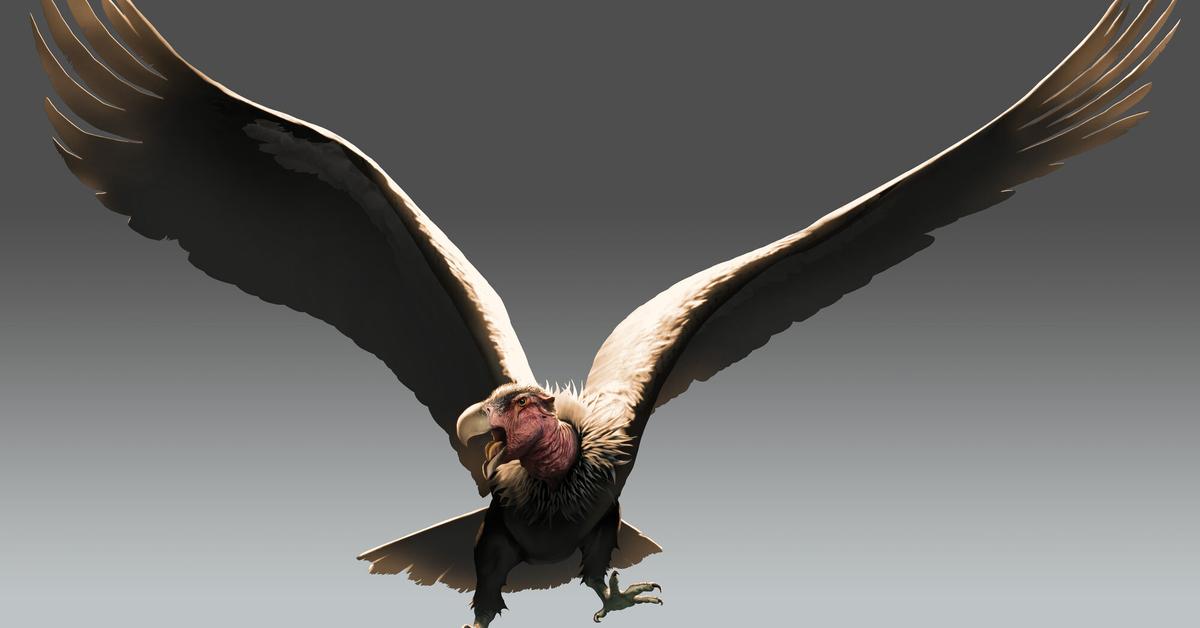 A look at the Argentavis Magnificens, also recognized as Argentavis Magnificens in Indonesian culture.