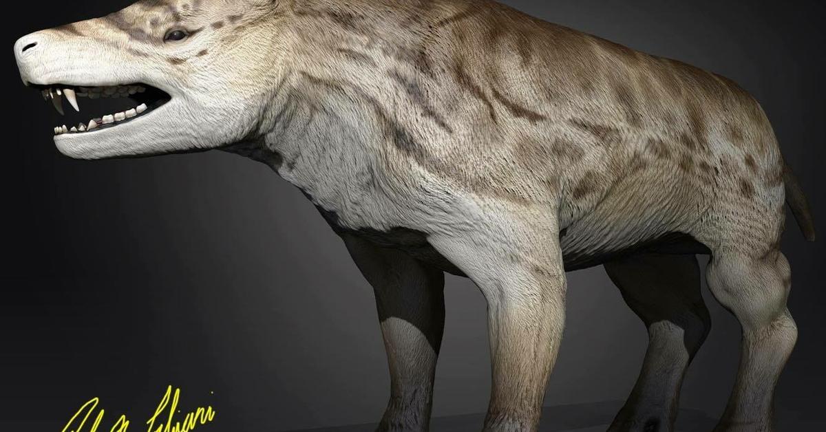 Close encounter with the Andrewsarchus, scientifically called Andrewsarchus mongoliensis.