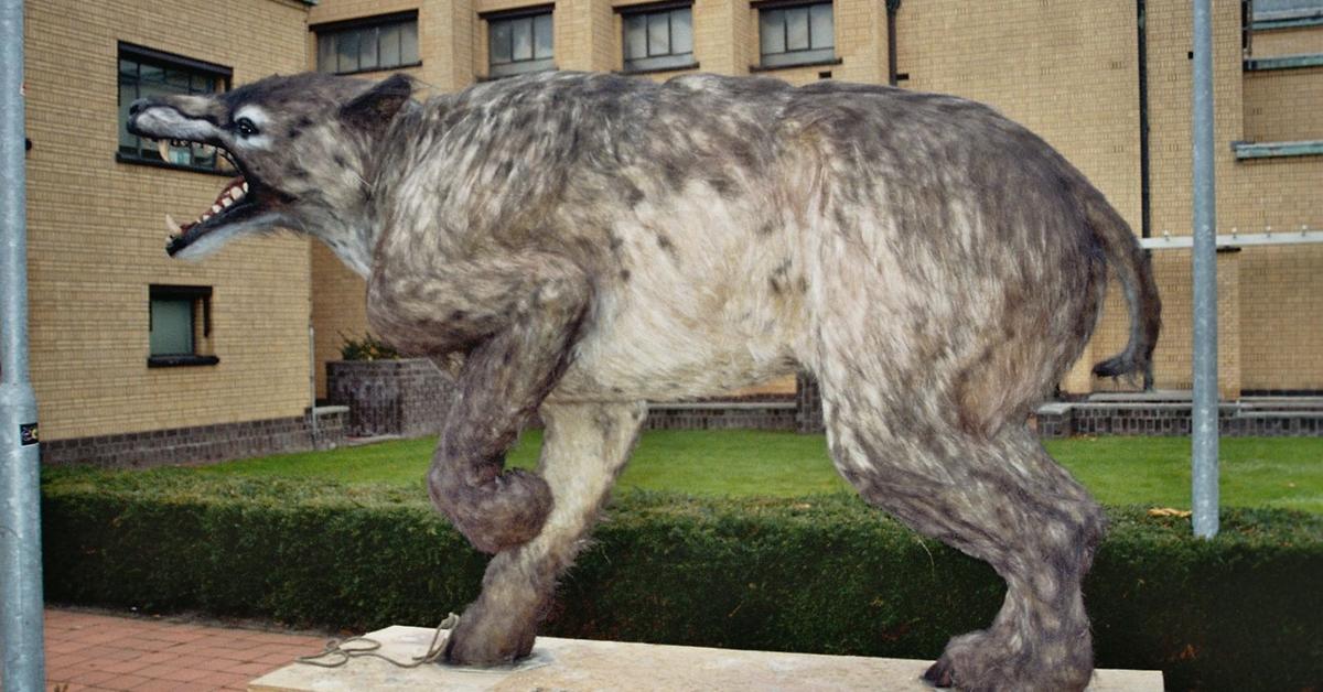 Captured elegance of the Andrewsarchus, known in Indonesia as Andrewsarchus.