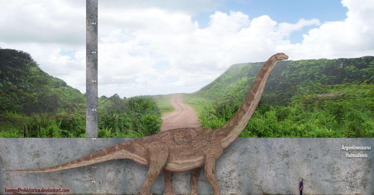 Photograph of the unique Argentinosaurus, known scientifically as Argentinosaurus.