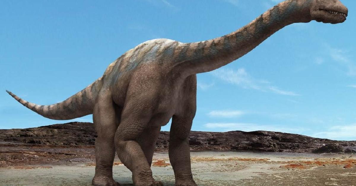 Splendid image of the Argentinosaurus, with the scientific name Argentinosaurus.