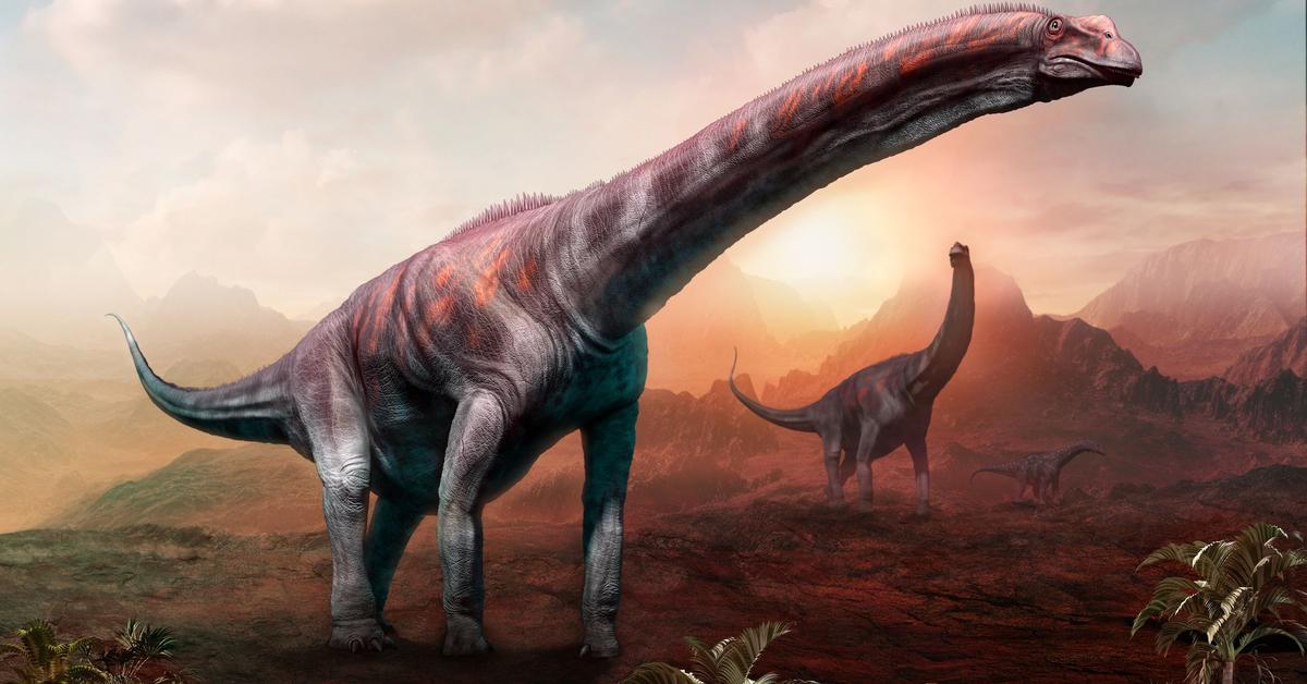 Picture of Argentinosaurus, known in Indonesia as Argentinosaurus.