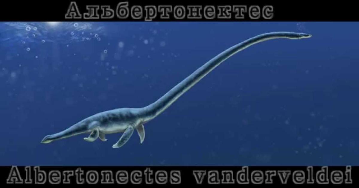 Photographic depiction of the unique Albertonectes, locally called Albertonectes.