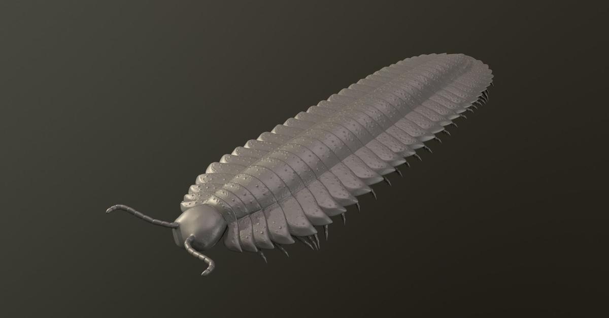 Dynamic image of the Arthropleura, popularly known in Indonesia as Arthropleura.