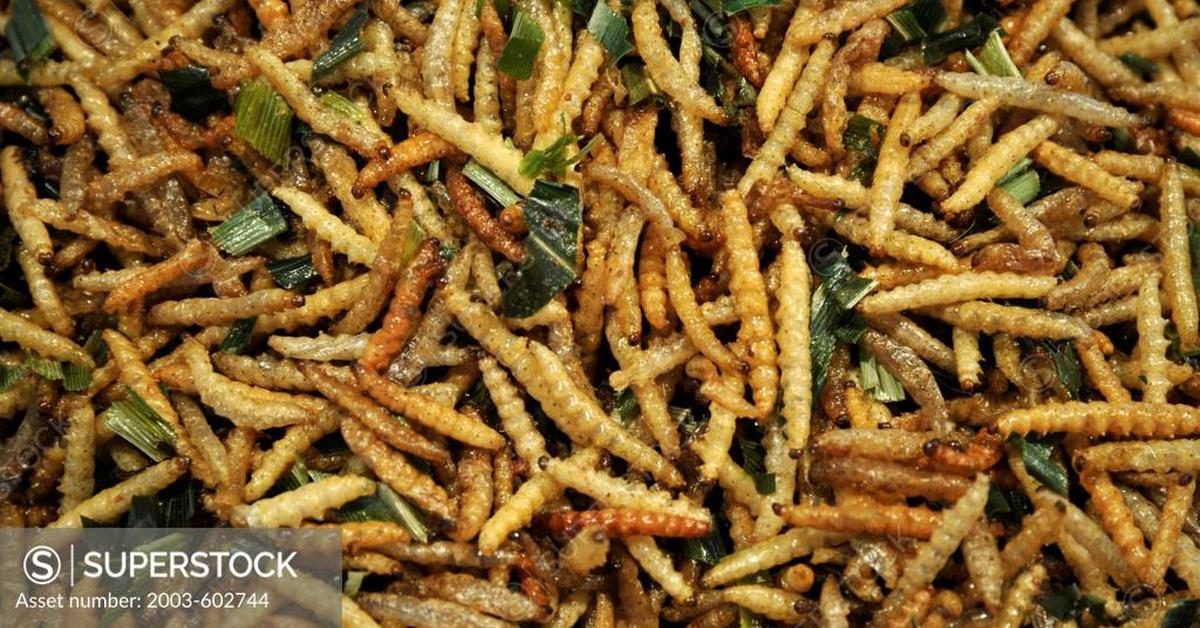 Vivid image of the Bamboo Worms, or Cacing Bambu in Indonesian context.