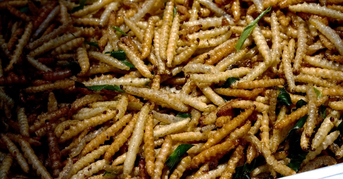 Vivid image of the Bamboo Worms, or Cacing Bambu in Indonesian context.