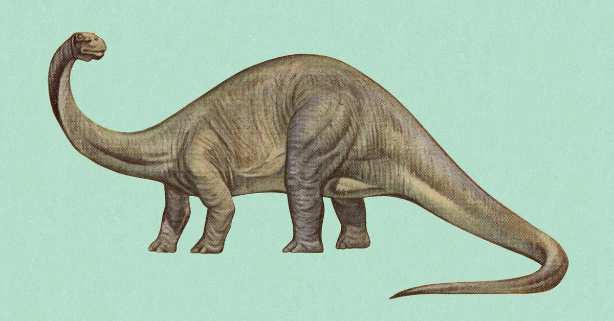 Striking appearance of the Brontosaurus, known in scientific circles as Brontosaurus excelsus.