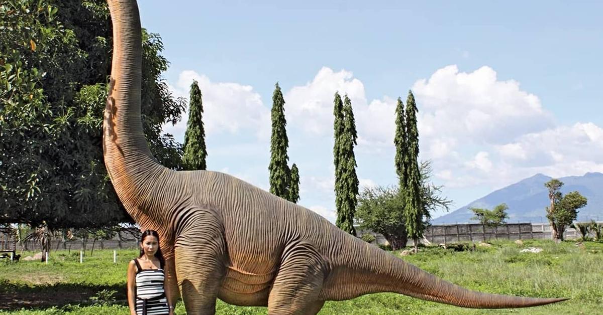 Engaging shot of the Brachiosaurus, recognized in Indonesia as Brachiosaurus.