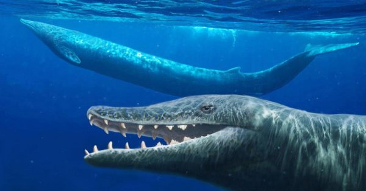 Vibrant snapshot of the Basilosaurus, commonly referred to as Basilosaurus in Indonesia.