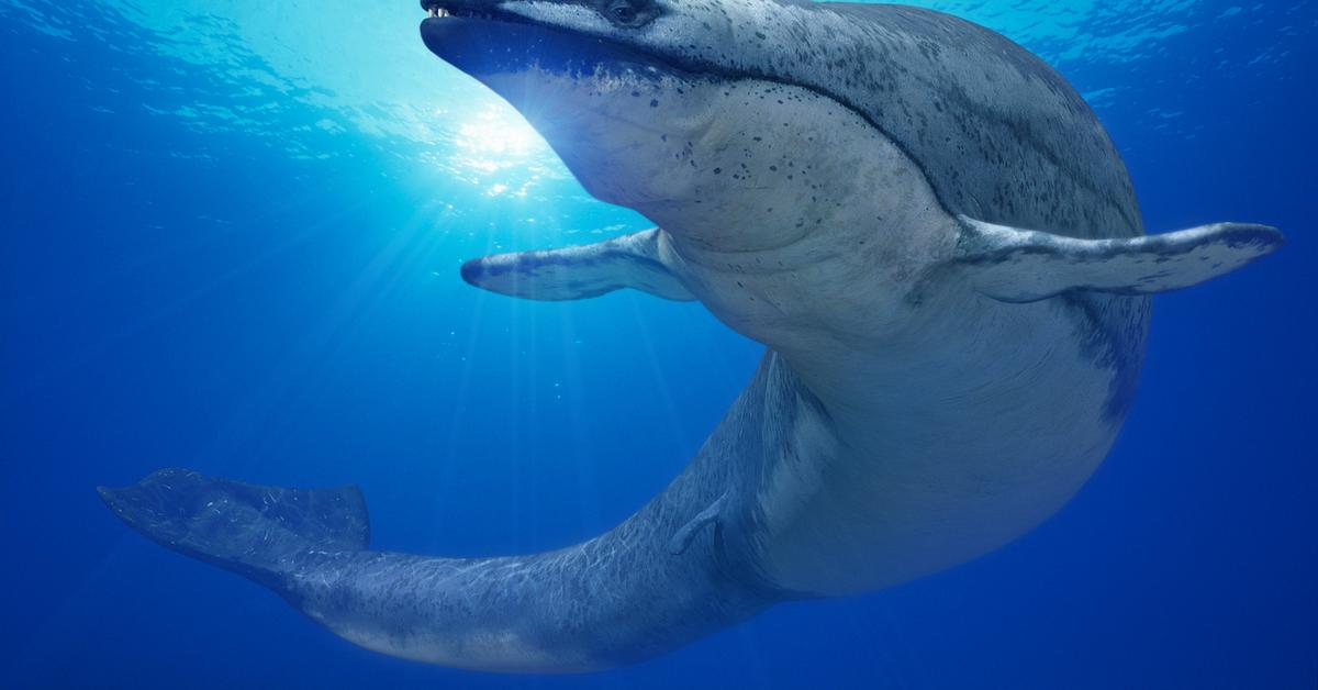 Detailed shot of the Basilosaurus, or Basilosaurus, in its natural setting.