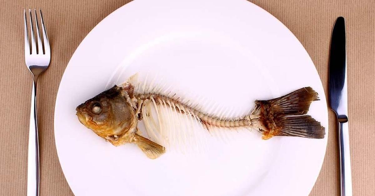 Captivating presence of the Bonefish, a species called Albula vulpes.