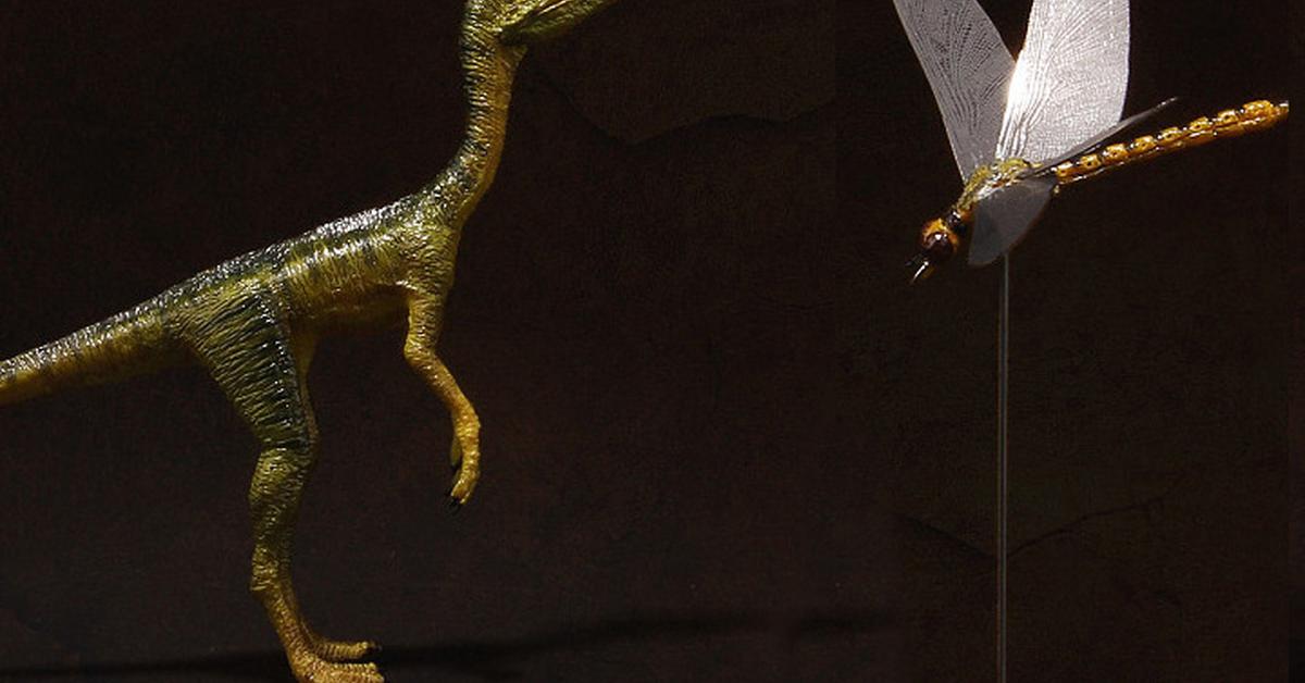 The Compsognathus, a species known as †Compsognathus longipes, in its natural splendor.