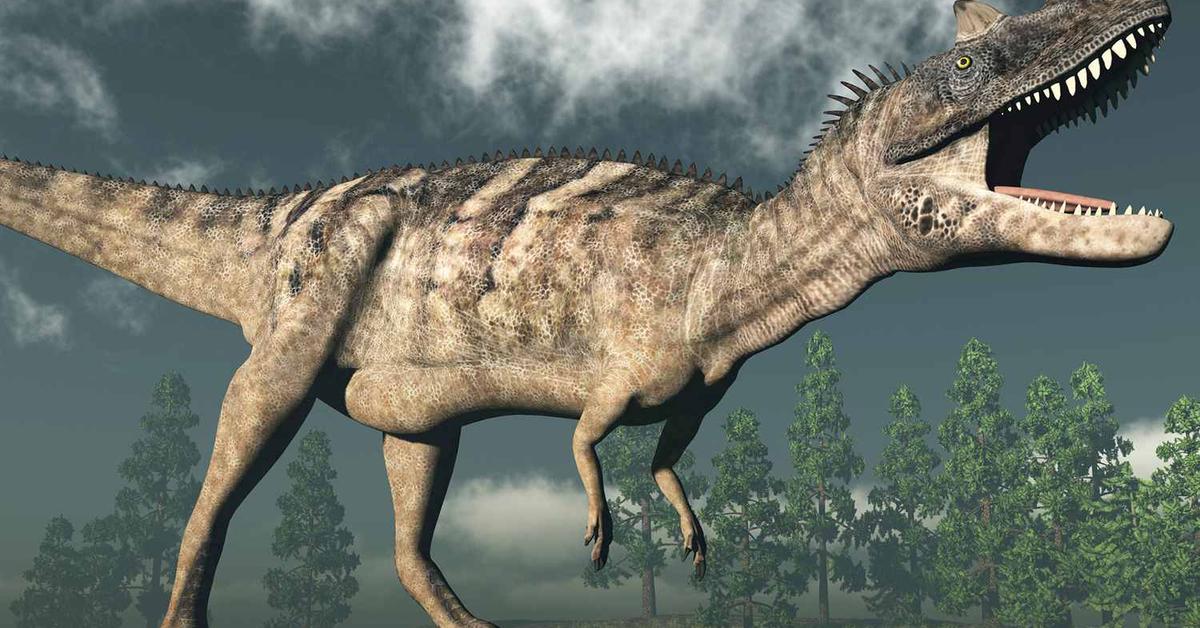 The Ceratosaurus in its natural beauty, locally called Ceratosaurus.