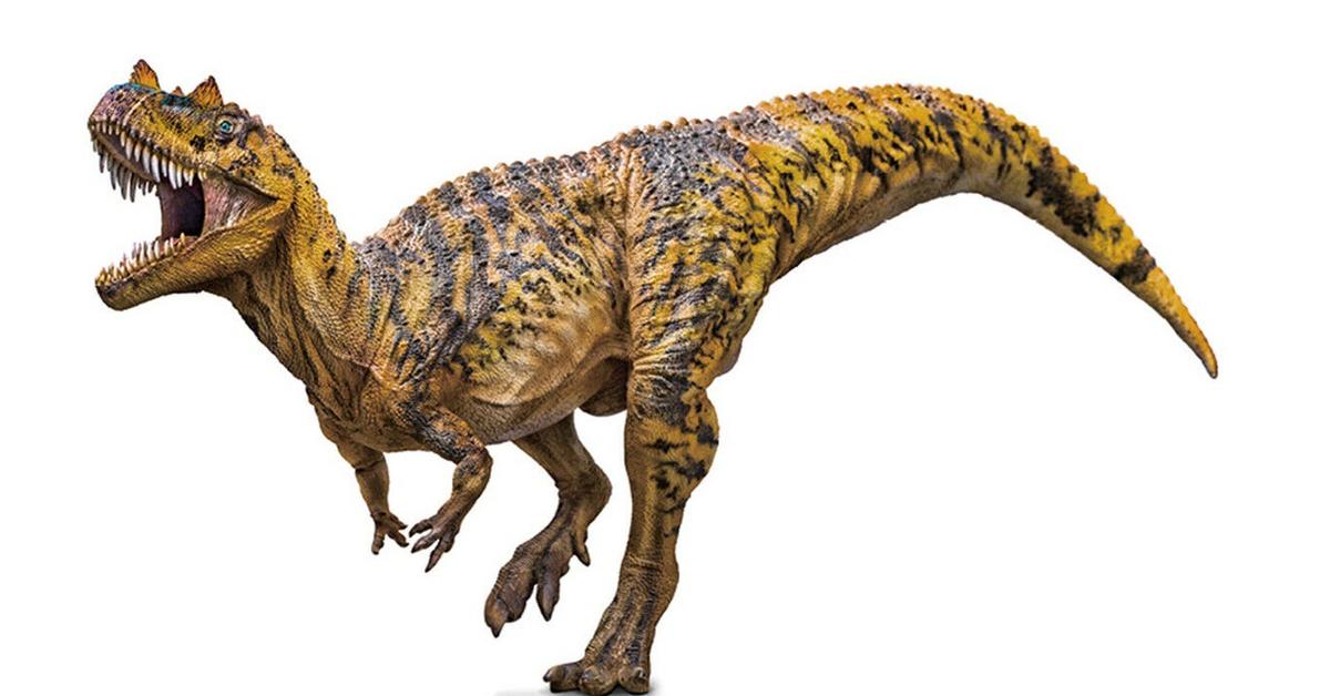 The Ceratosaurus, a beautiful species also known as Ceratosaurus in Bahasa Indonesia.